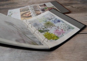 Envoy 4 Hole Ring Binder