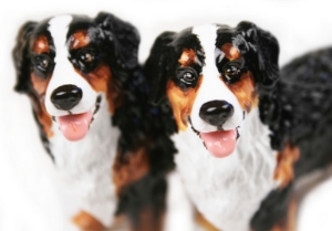 Bernese Mountain Dog Cruet Set