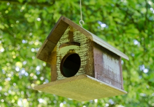 Picture of Rustic Beach Bird House
