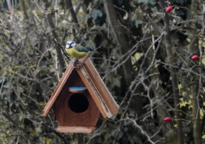 Picture of Rustic Beach Bird House